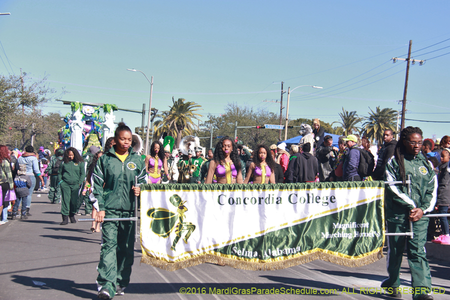 2016-Krewe-of-Rex-014281