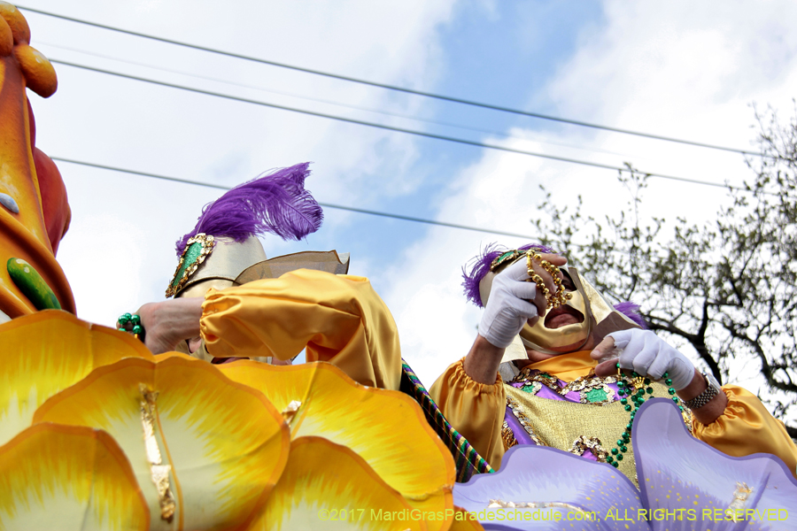 Krewe-of-Rex-2017-12631