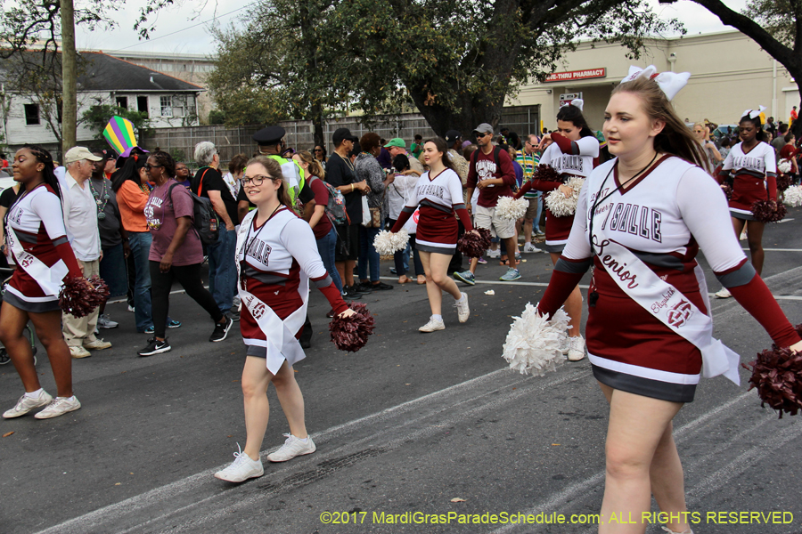 Krewe-of-Rex-2017-12654