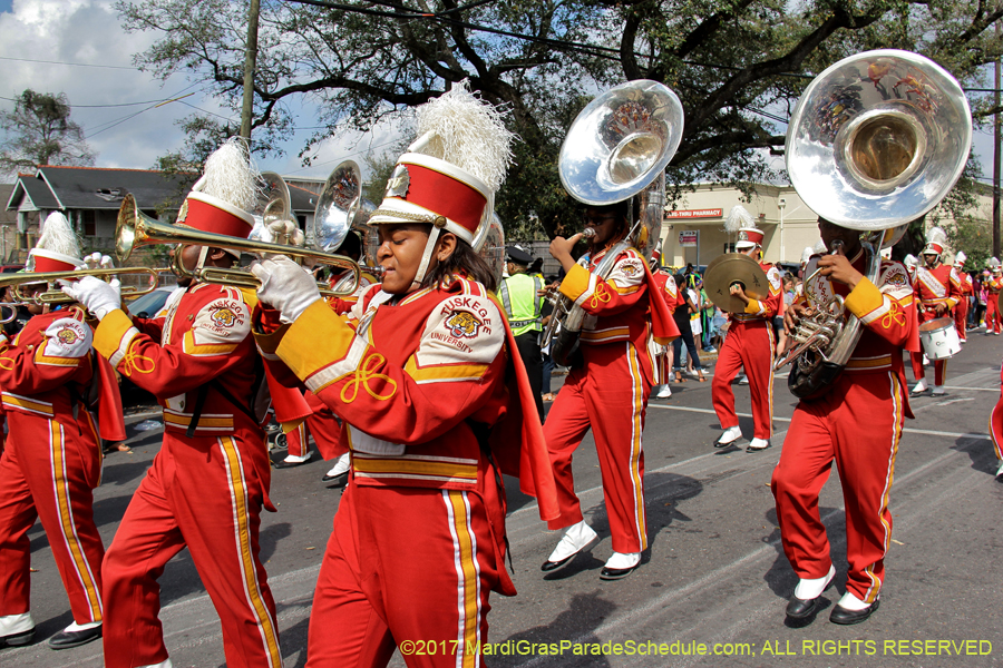 Krewe-of-Rex-2017-12671