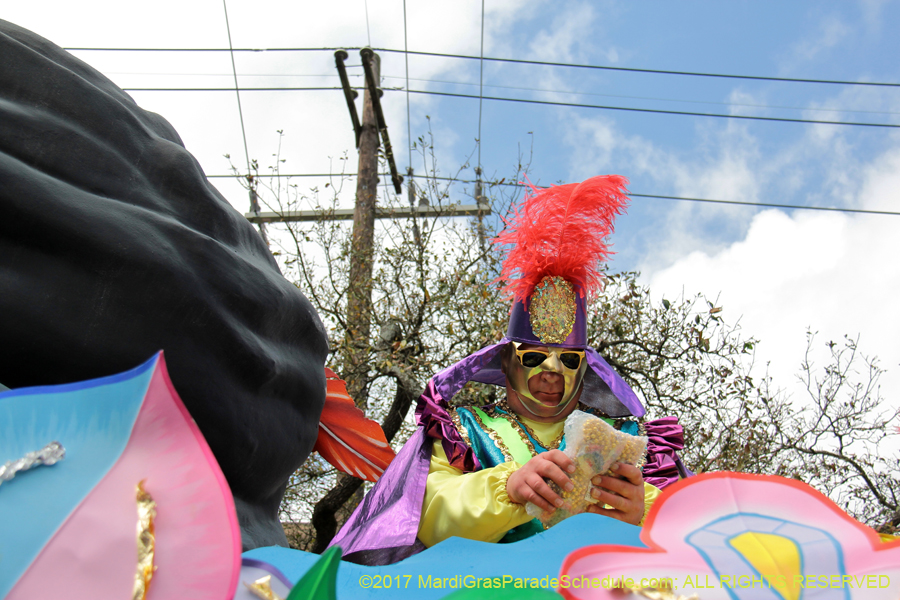 Krewe-of-Rex-2017-12679