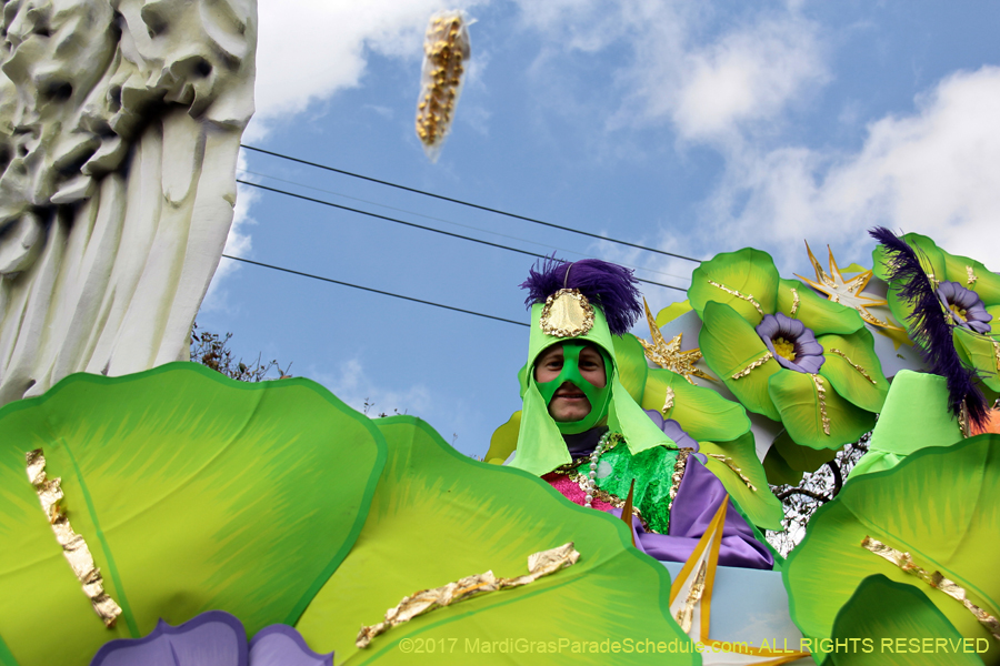 Krewe-of-Rex-2017-12690