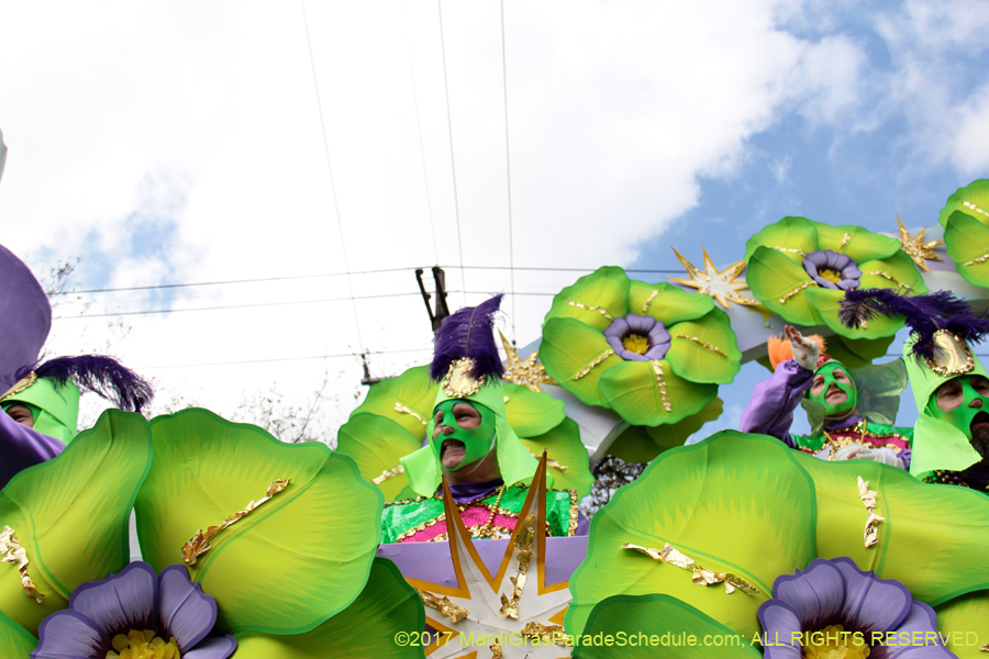 Krewe-of-Rex-2017-12691