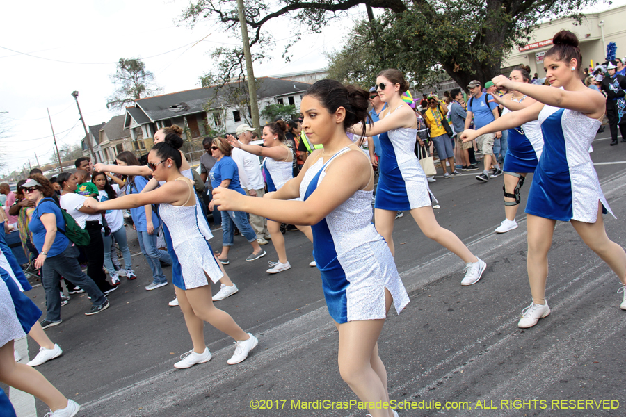 Krewe-of-Rex-2017-12708