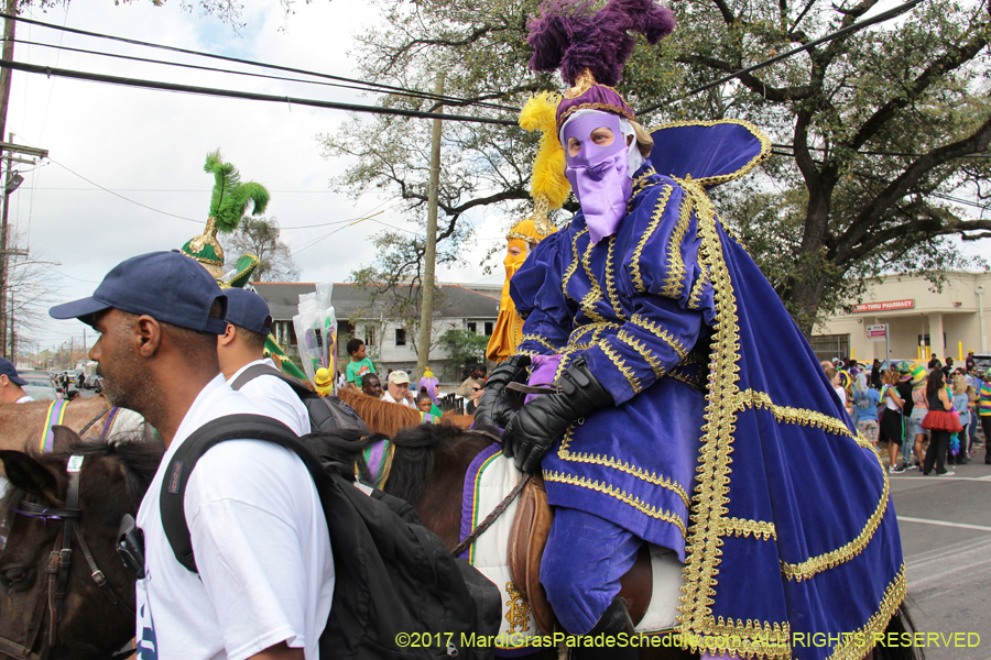 Krewe-of-Rex-2017-12713