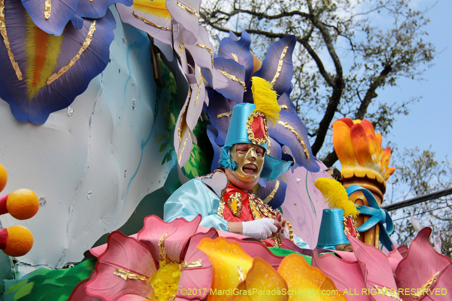 Krewe-of-Rex-2017-12717