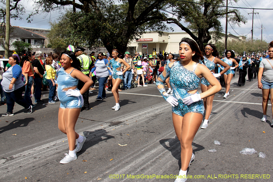 Krewe-of-Rex-2017-12723