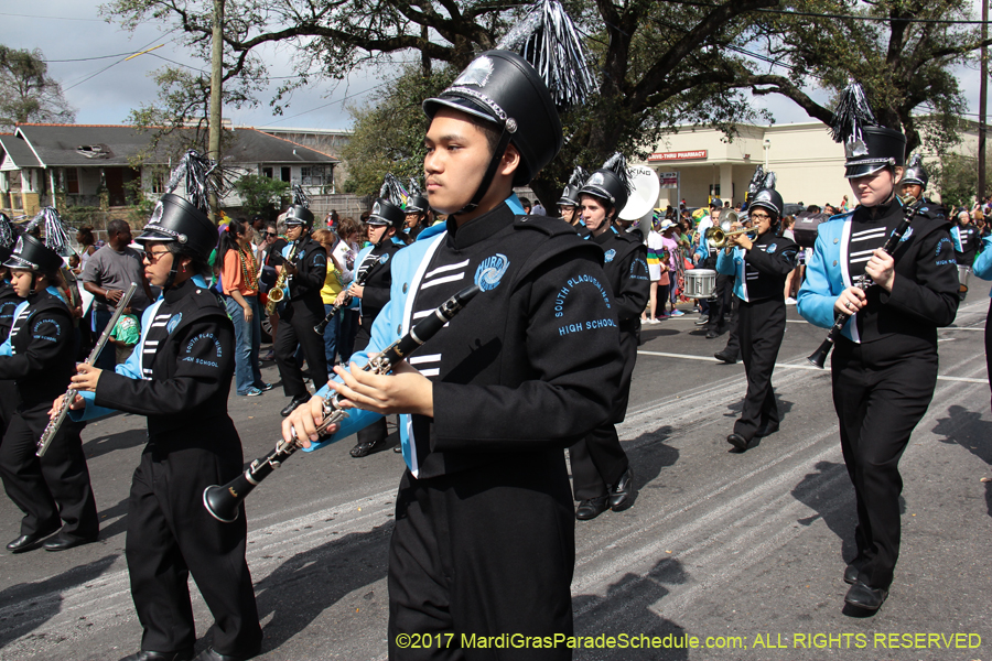 Krewe-of-Rex-2017-12724