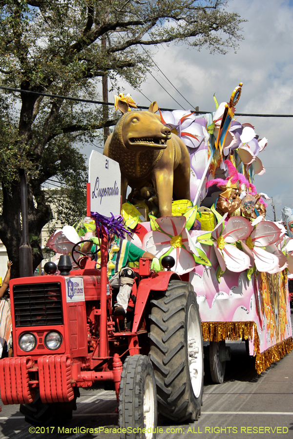 Krewe-of-Rex-2017-12726