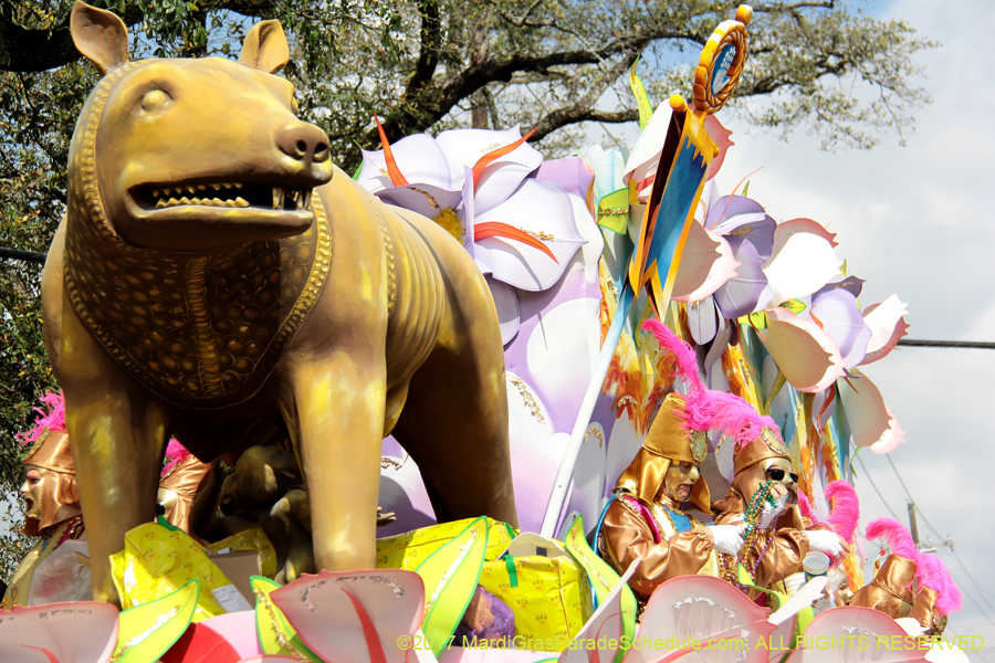 Krewe-of-Rex-2017-12727