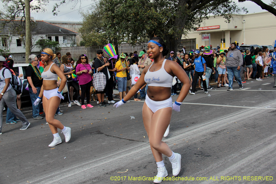 Krewe-of-Rex-2017-12777