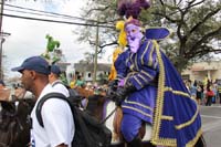 Krewe-of-Rex-2017-12713