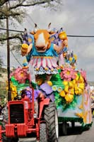 Krewe-of-Rex-2017-12715