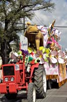 Krewe-of-Rex-2017-12726