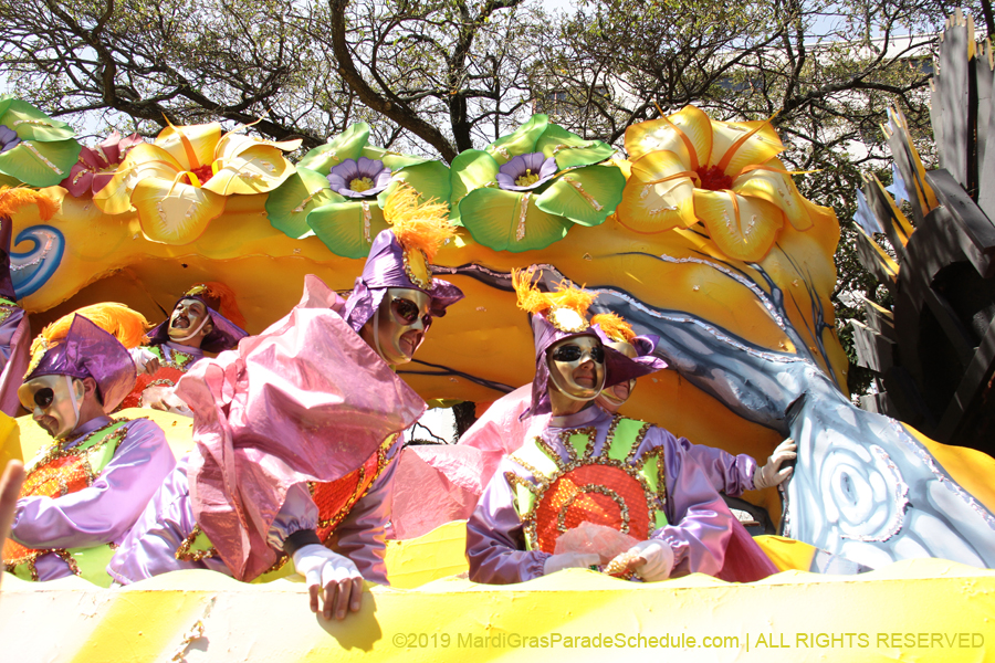 Rex-Organization-2019-011061