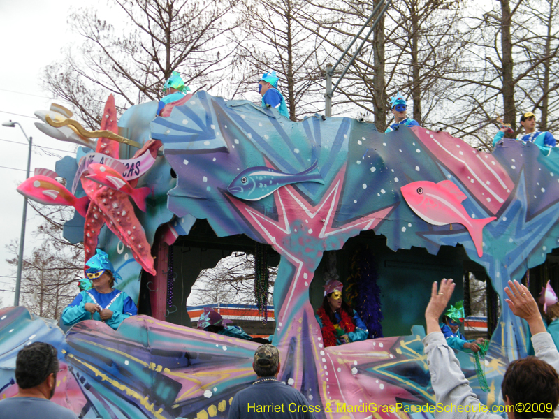 Krewe-of-Rhea-2009-Metairie-Mardi-Gras-Harriet-Cross-7884