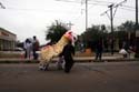 Mystic-Krewe-of-Shangri-LA-Mardi-Gras-2008-New-Orleans-5891