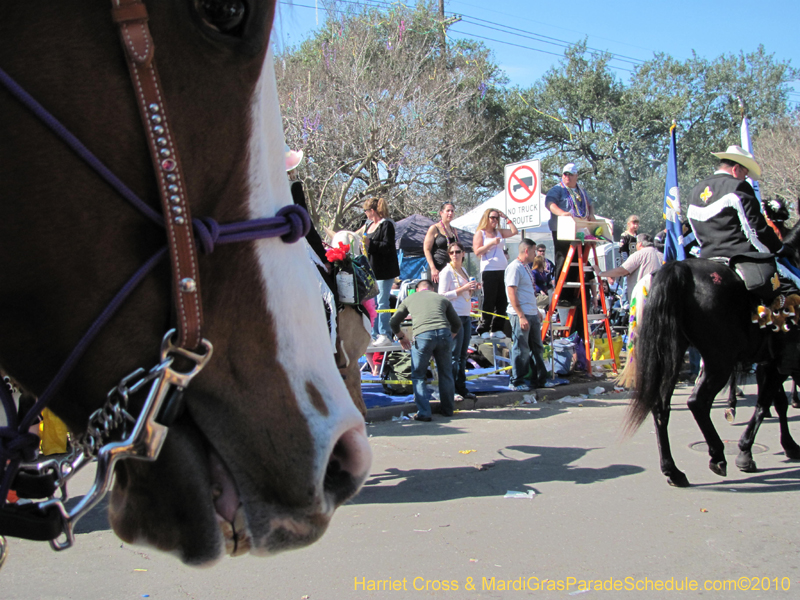 Krewe-of-Thoth-2010-Mardi-Gras-New-Orleans-0966