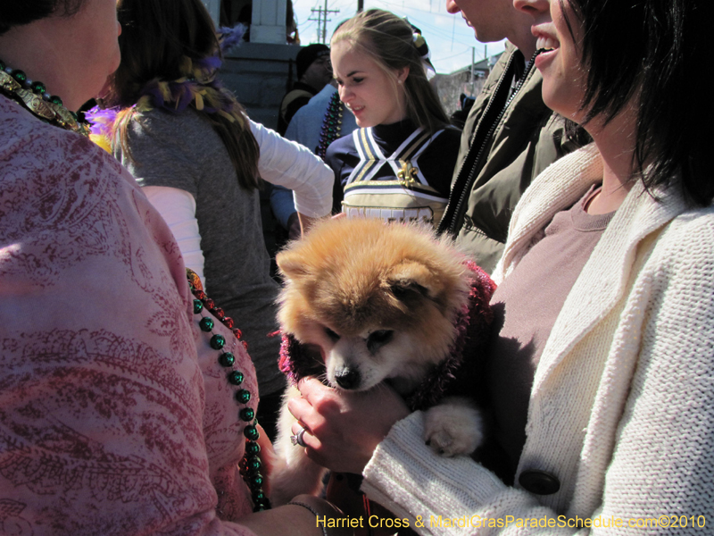 Krewe-of-Thoth-2010-Mardi-Gras-New-Orleans-1132