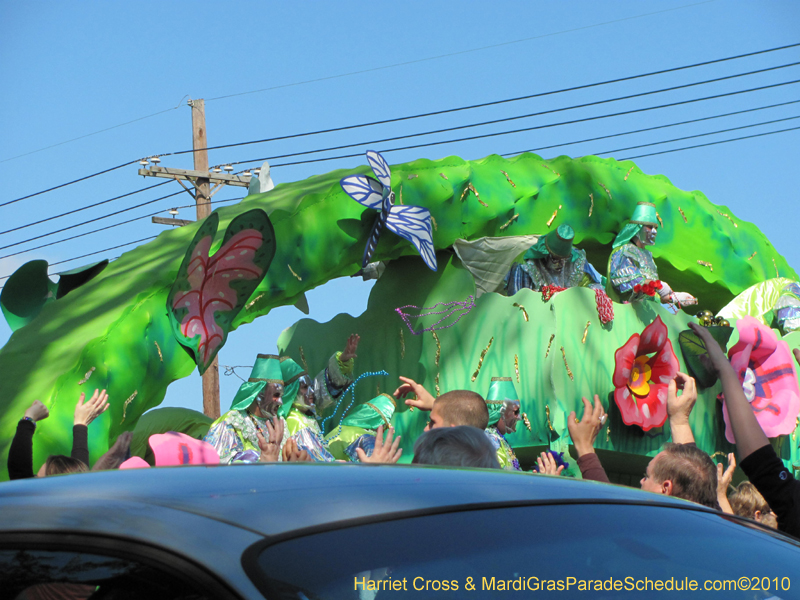 Krewe-of-Thoth-2010-Mardi-Gras-New-Orleans-1177