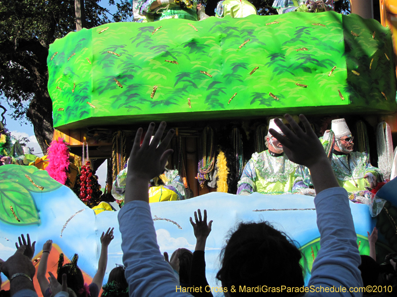 Krewe-of-Thoth-2010-Mardi-Gras-New-Orleans-1213