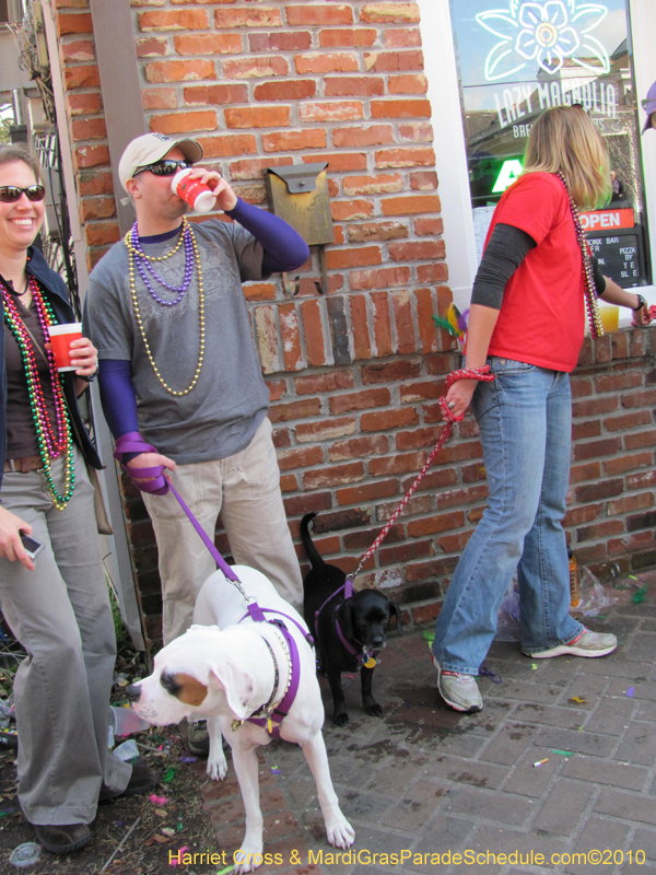 Krewe-of-Thoth-2010-Mardi-Gras-New-Orleans-1309