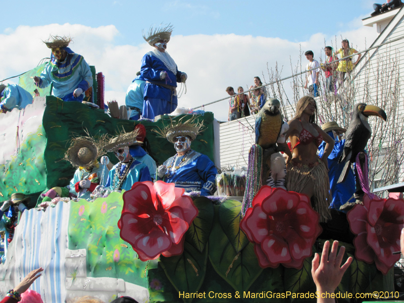 Krewe-of-Thoth-2010-Mardi-Gras-New-Orleans-1331