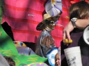 Krewe-of-Thoth-2010-Mardi-Gras-New-Orleans-1145