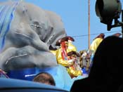 Krewe-of-Thoth-2010-Mardi-Gras-New-Orleans-1182