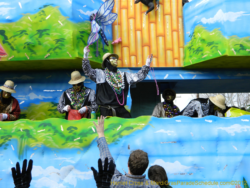 Krewe-of-Thoth-HC-2012-0131