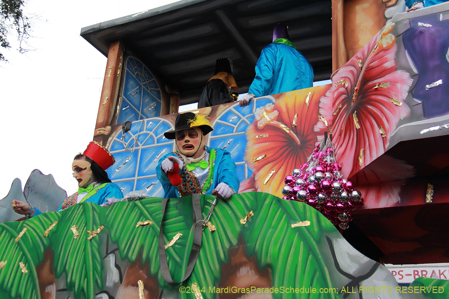 2014-Krewe-of-Thoth-11096