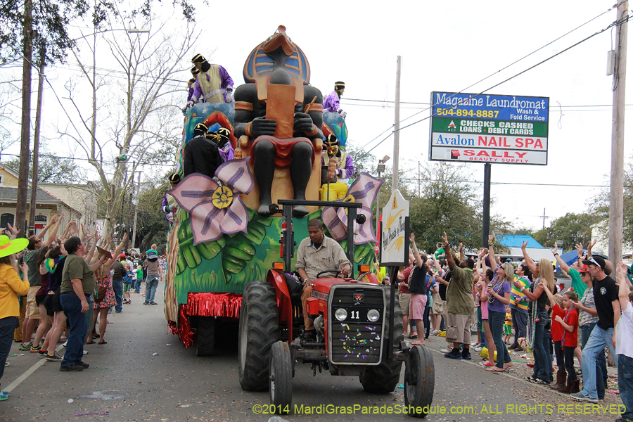 2014-Krewe-of-Thoth-11134