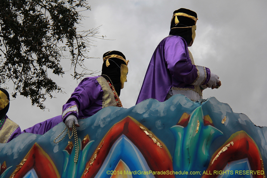 2014-Krewe-of-Thoth-11137