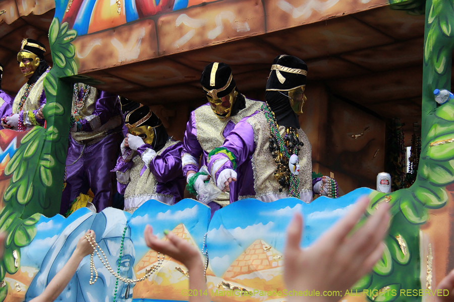 2014-Krewe-of-Thoth-11138