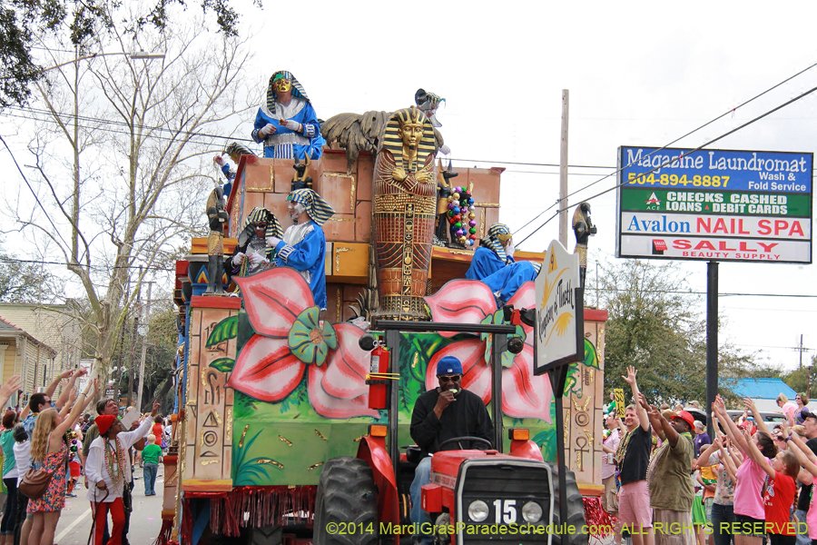 2014-Krewe-of-Thoth-11151