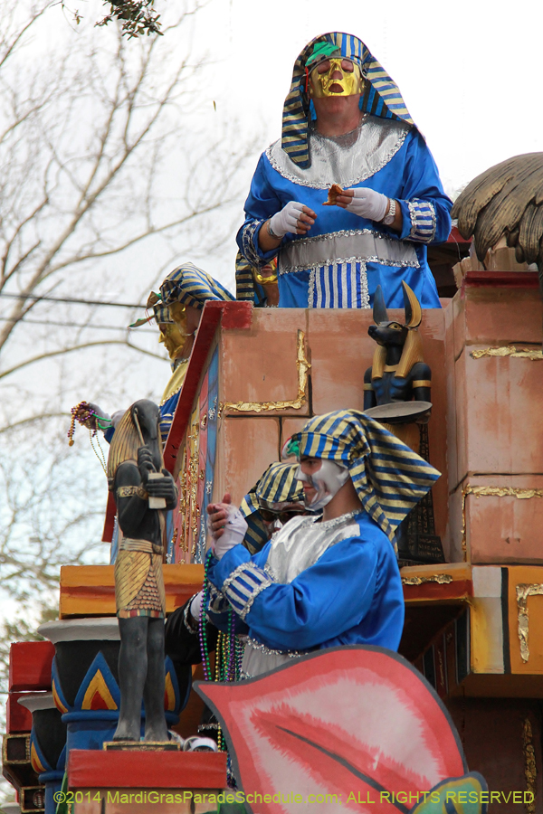 2014-Krewe-of-Thoth-11152