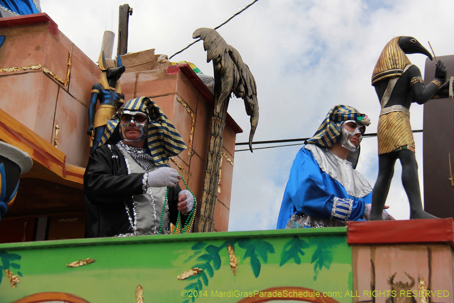 2014-Krewe-of-Thoth-11153