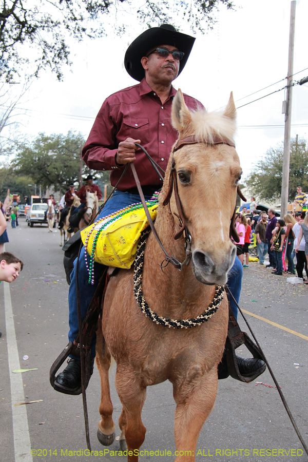 2014-Krewe-of-Thoth-11162