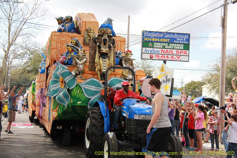 2014-Krewe-of-Thoth-11186