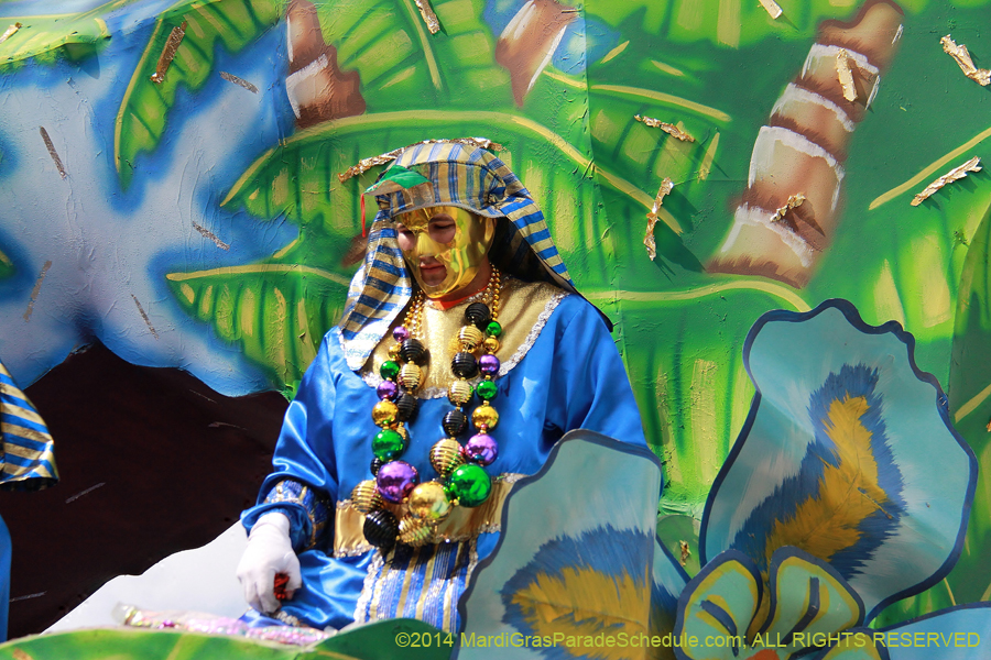 2014-Krewe-of-Thoth-11194