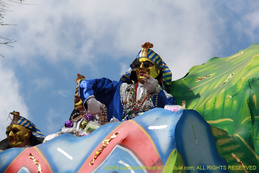 2014-Krewe-of-Thoth-11196