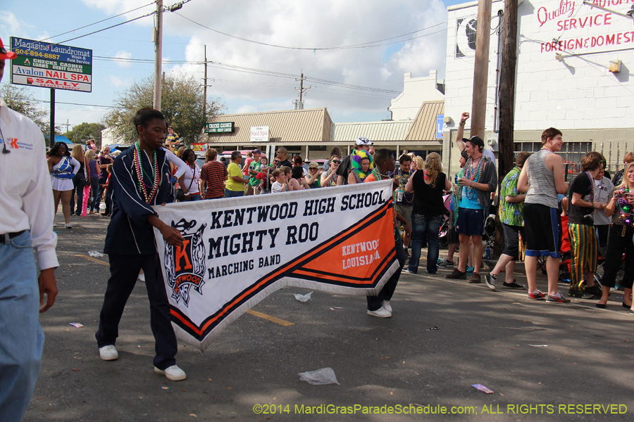 2014-Krewe-of-Thoth-11229