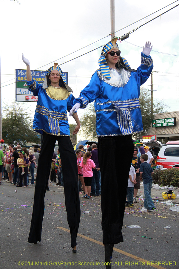 2014-Krewe-of-Thoth-11245