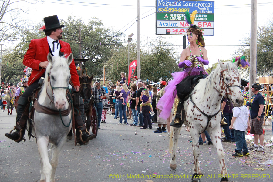 2014-Krewe-of-Thoth-11262