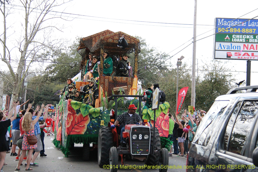 2014-Krewe-of-Thoth-11282