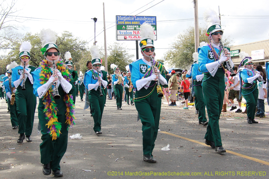 2014-Krewe-of-Thoth-11427