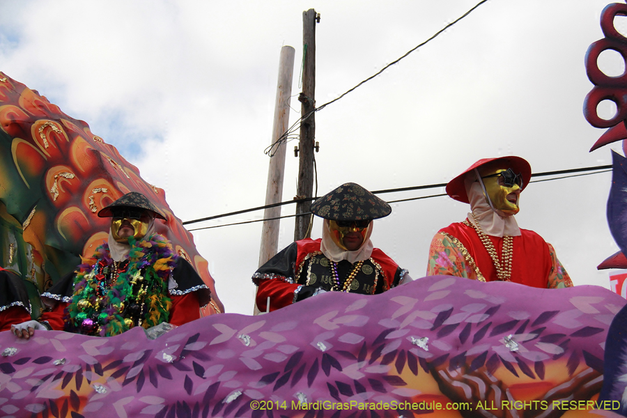 2014-Krewe-of-Thoth-11448