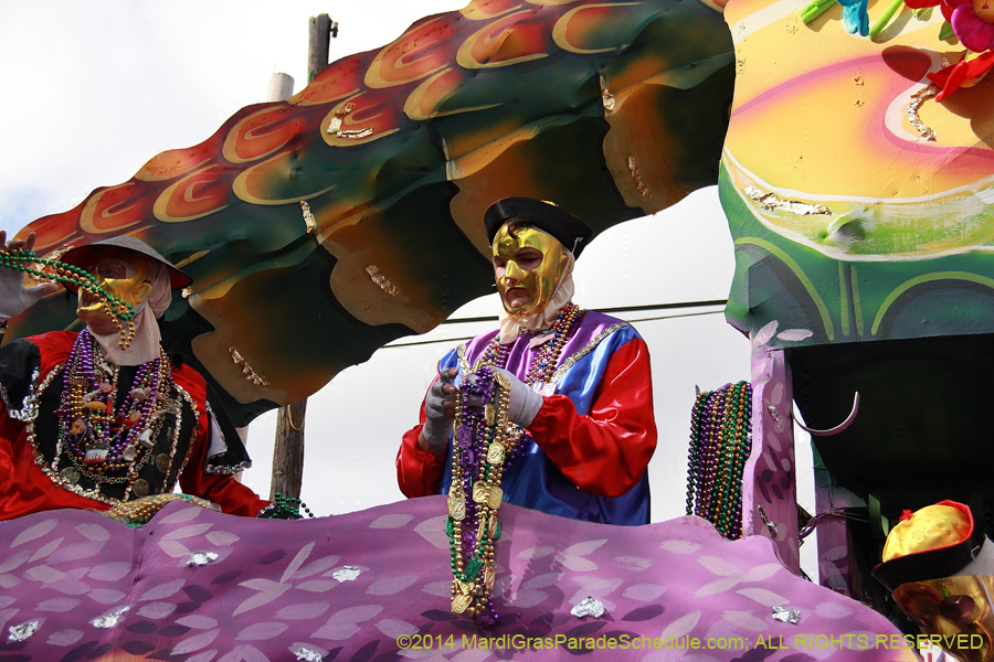 2014-Krewe-of-Thoth-11454