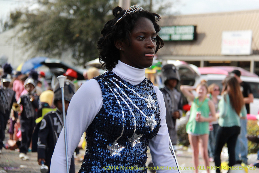 2014-Krewe-of-Thoth-11459