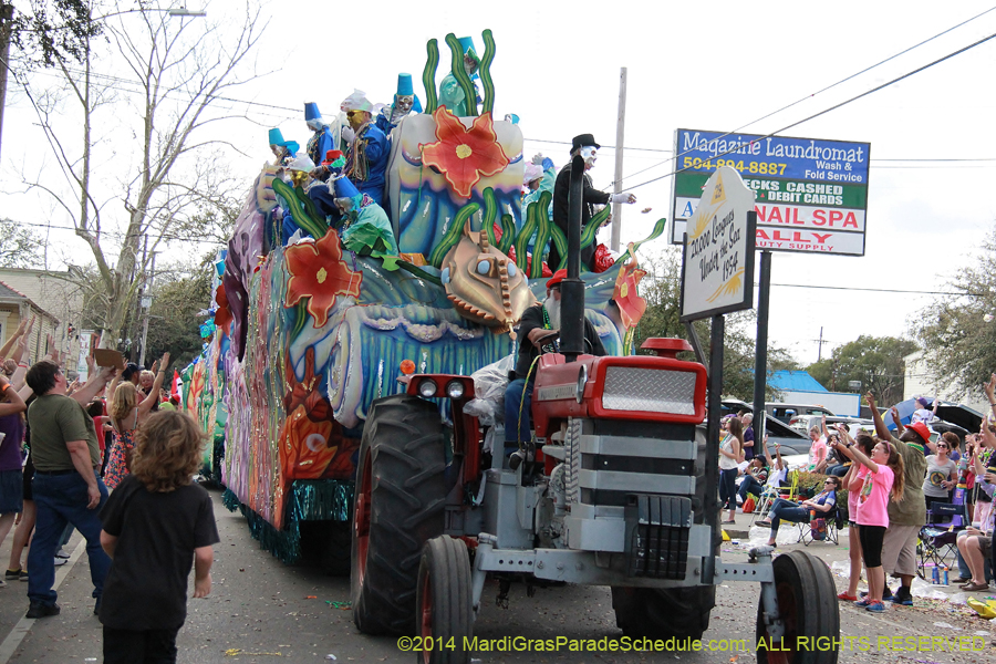 2014-Krewe-of-Thoth-11493